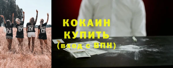 кокс Алексин