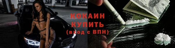 кокс Алексин