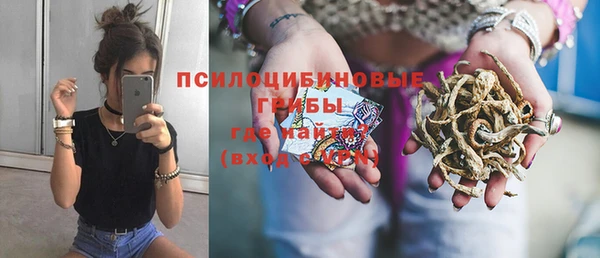 кокс Алексин