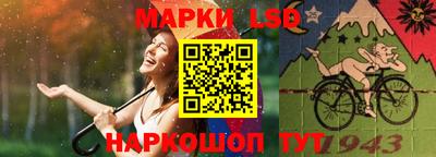 прущие грибы Будённовск