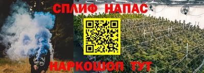 прущие грибы Будённовск