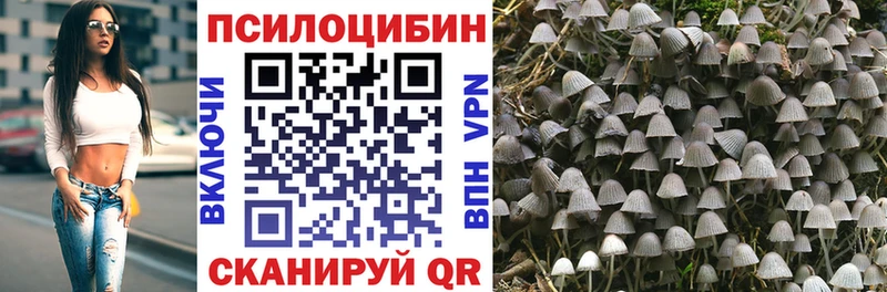 блэк спрут рабочий сайт где купить Карпинск Псилоцибиновые грибы GOLDEN TEACHER