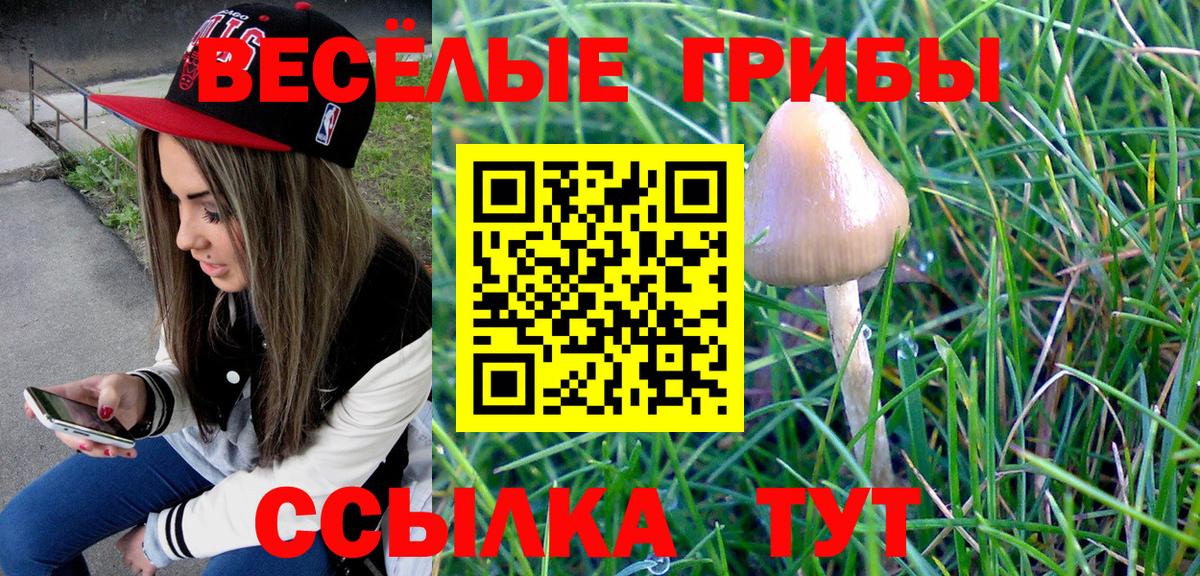 Карпинск  Галлюциногенные грибы мицелий  Вход с VPN 
